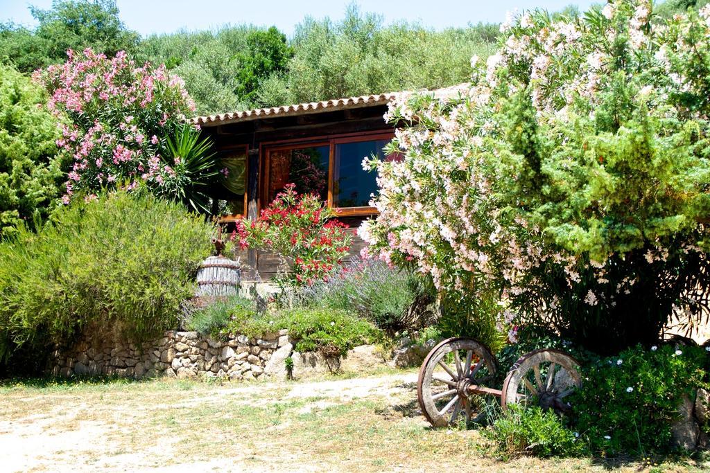 Agriturismo Sardo Villa Campavaglio Bagian luar foto