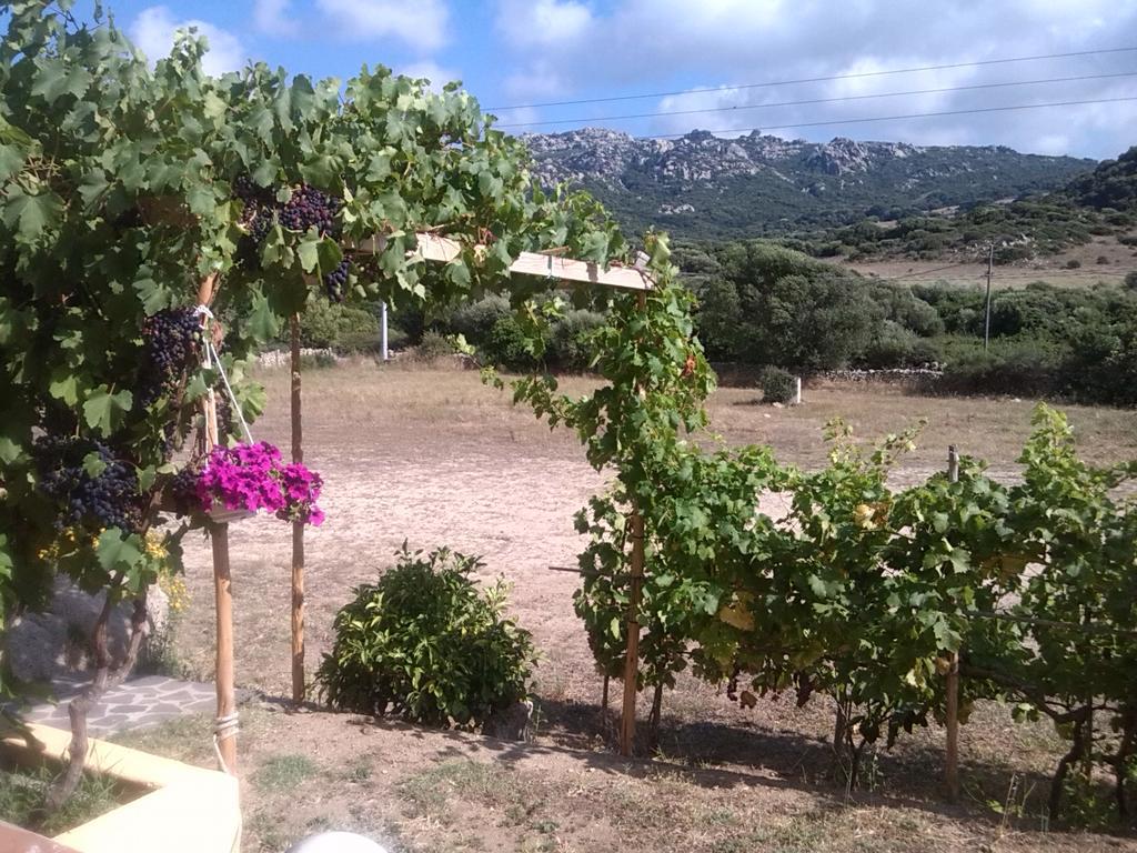Agriturismo Sardo Villa Campavaglio Bagian luar foto