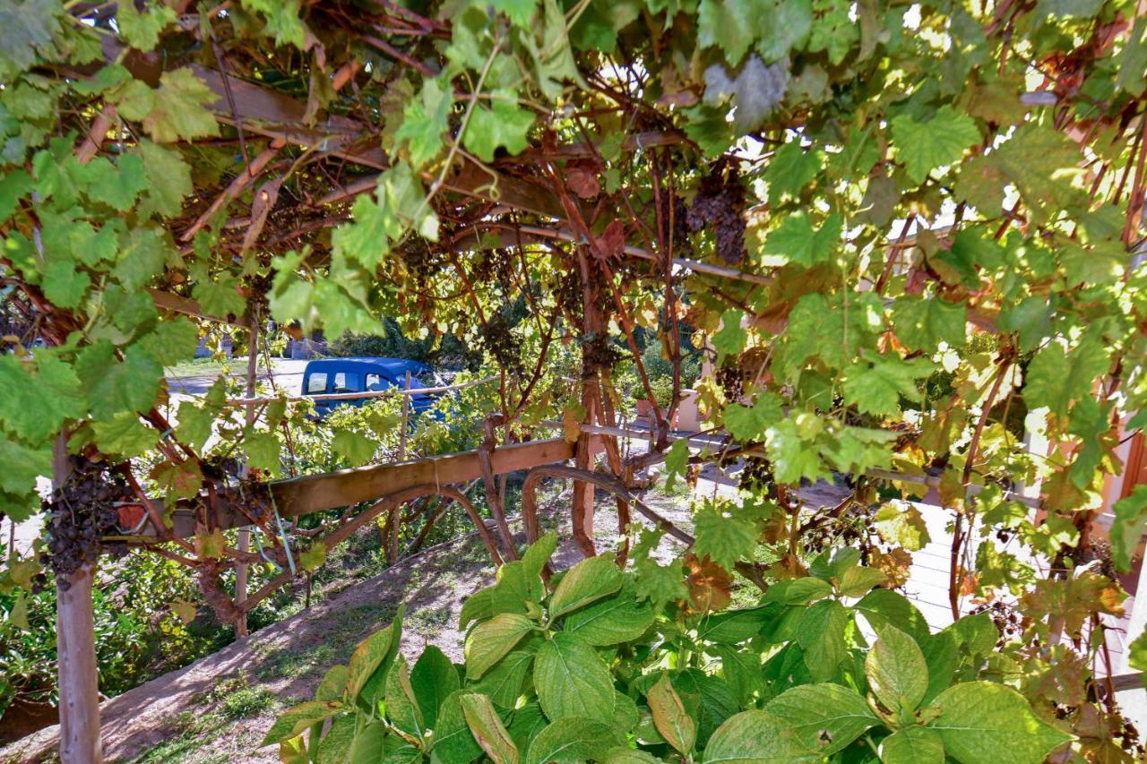 Agriturismo Sardo Villa Campavaglio Bagian luar foto